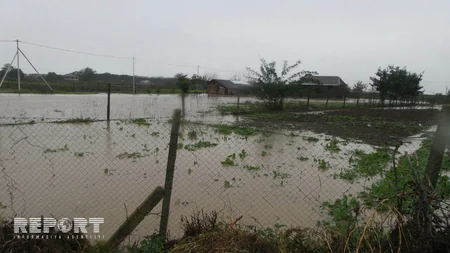 Cənub bölgəsində sel sularının yaratdığı fəsadlar - FOTOREPORTAJ