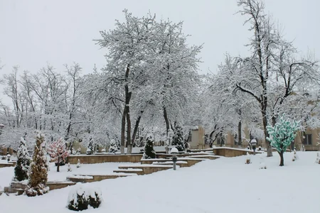 Lerik və Yardımlıya ilaxır çərşənbədə qar yağıb - FOTO
