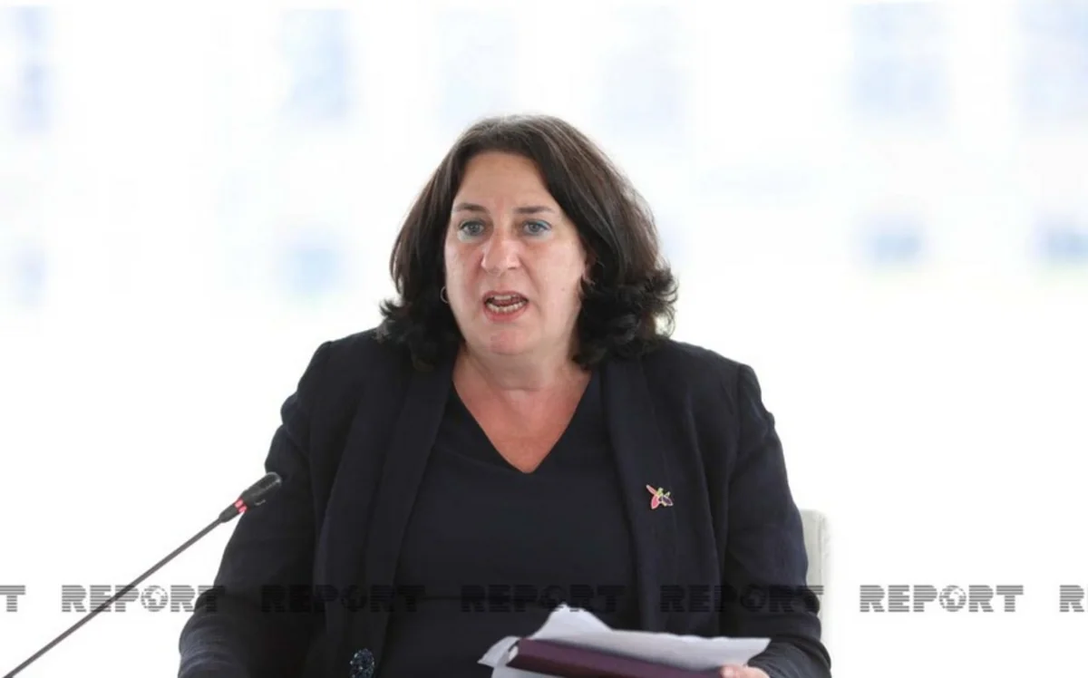 Шаффер: Сейчас происходит всестороннее развитие Карабаха