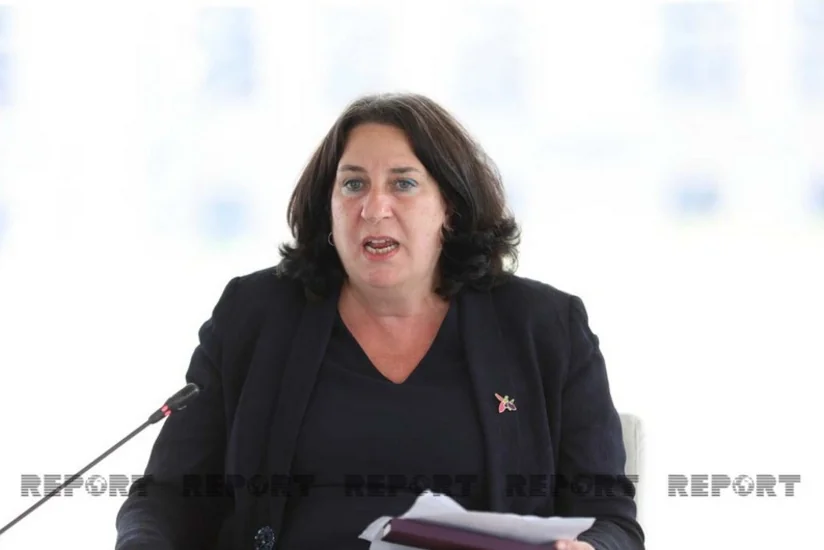 Шаффер: Сейчас происходит всестороннее развитие Карабаха