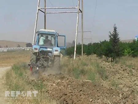 ​Hacıqabulda 15 hektar sahədə ot sahəsi və 0,5 hektar meşə zolağı yanıb - FOTO