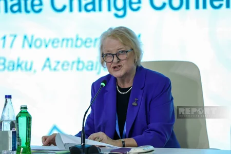 Promoting fair approach to combating climate change discussed at parliamentary meeting in Baku
