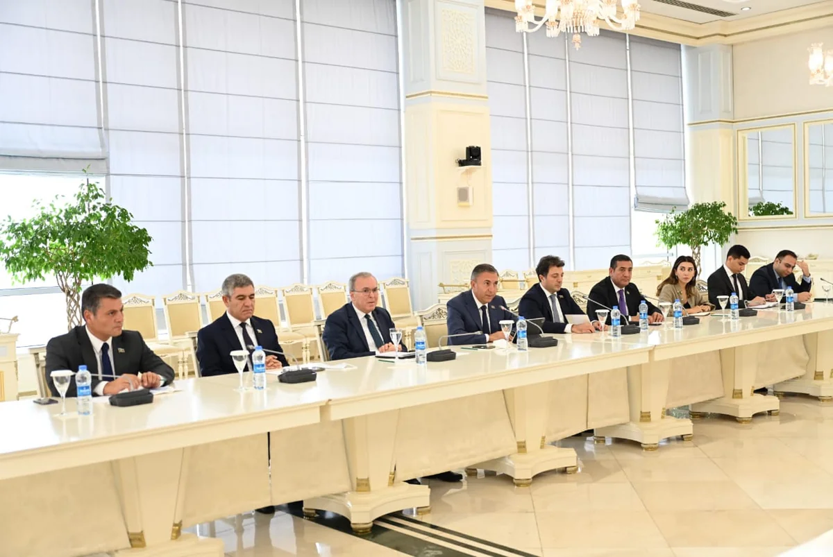 Milli Məclisdə Avropa Parlamentinin nümayəndə heyəti ilə görüş olub