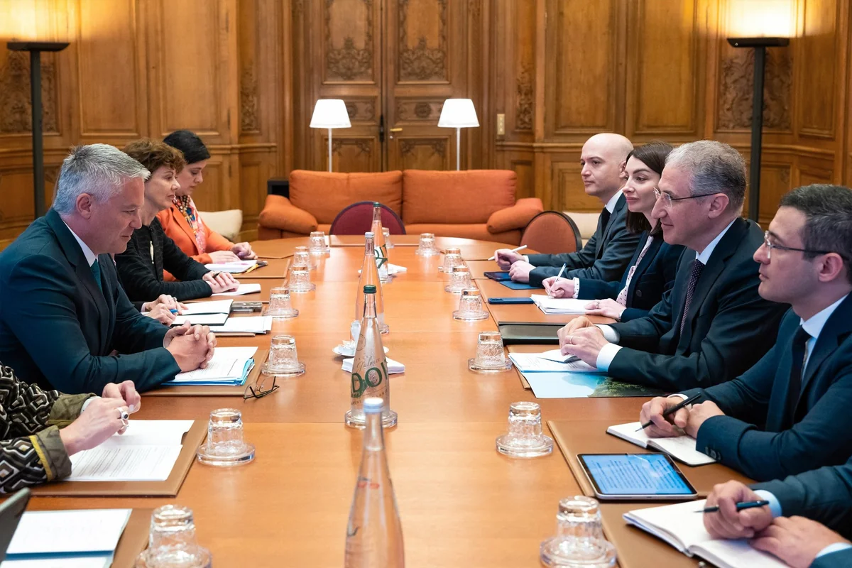 COP29 president meets with OECD secretary-general