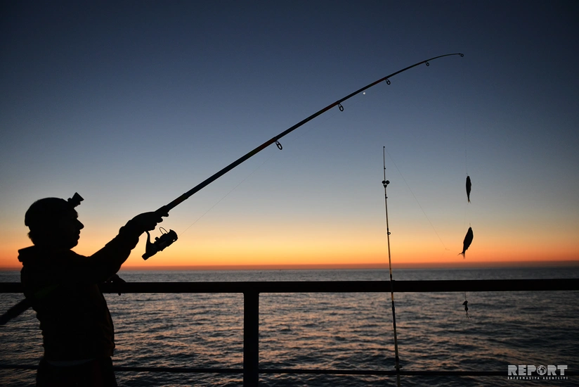 Xəzər sahillərinin balıqçıları - FOTOREPORTAJ