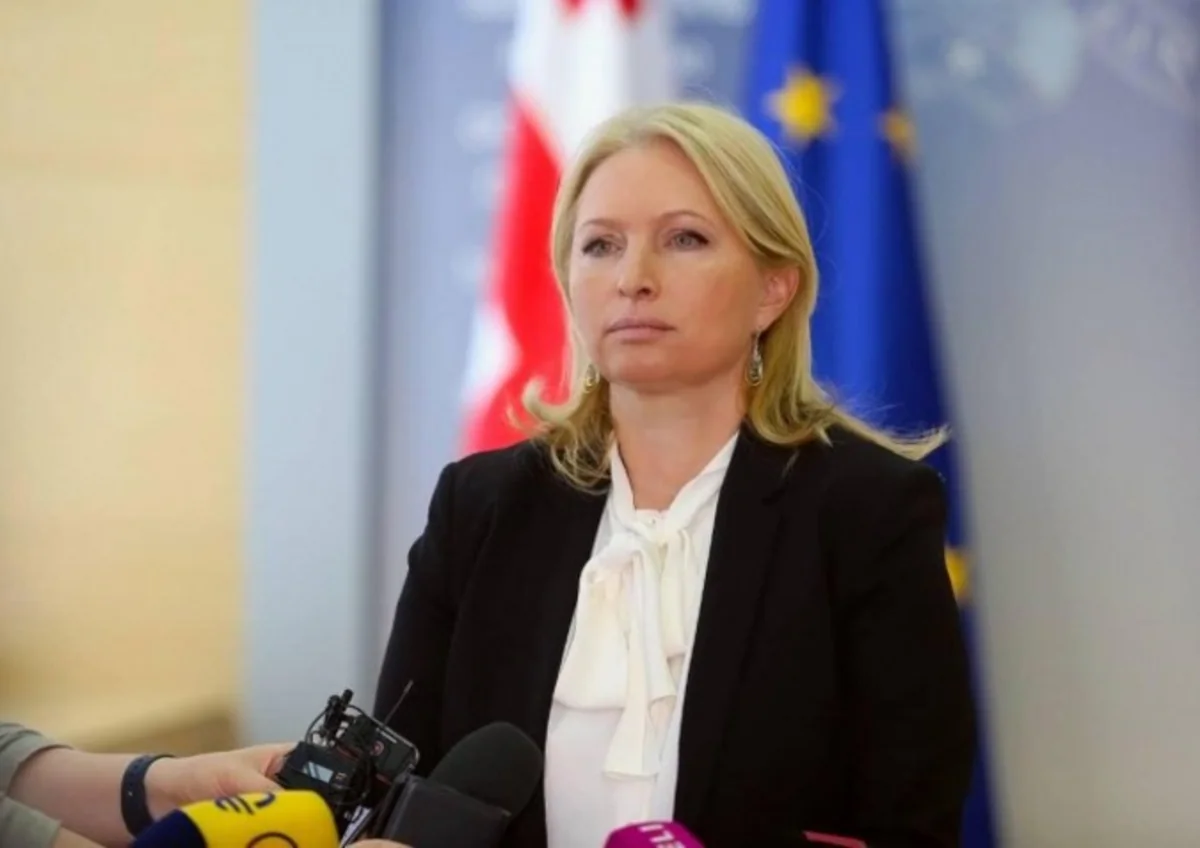 Natia Turnava: “Gürcüstan Cənub Qaz Dəhlizi layihəsindən ciddi faydalar əldə edəcək”