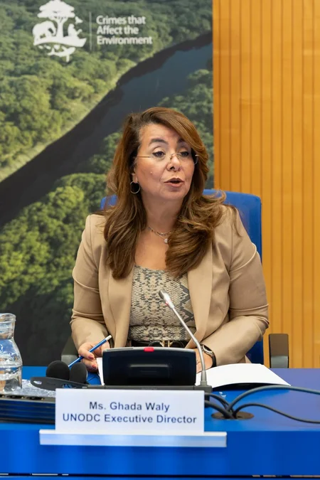 Baş Prokurorluq COP29-la bağlı Vyanada təşviqat tədbiri keçirib