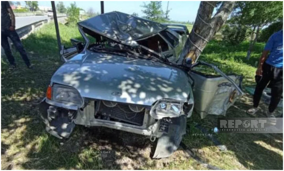 Şabranda avtomobil ağaca çırpılıb, iki qardaş ölüb