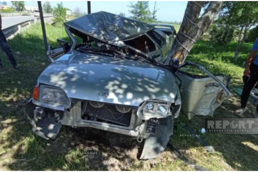 Şabranda avtomobil ağaca çırpılıb, iki qardaş ölüb