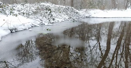 Azərbaycan parklarının qış görüntüləri - FOTOREPORTAJ