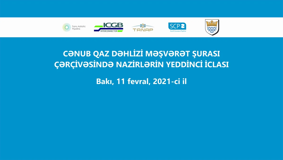 Məşvərət Şurasının son iclasının yekunlarına dair həmsədrlər bəyanat verib