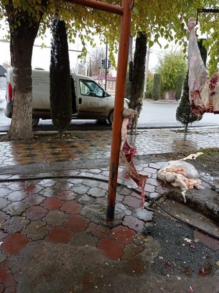 Ağcabədidə 42 qanunsuz heyvan kəsimi məntəqəsi aşkarlanıb