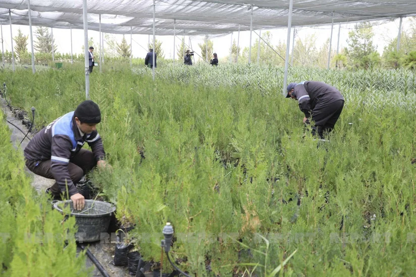 Xəzər Dəniz Suyunun Duzsuzlaşdırılması Kompleksinə mediatur keçirilib