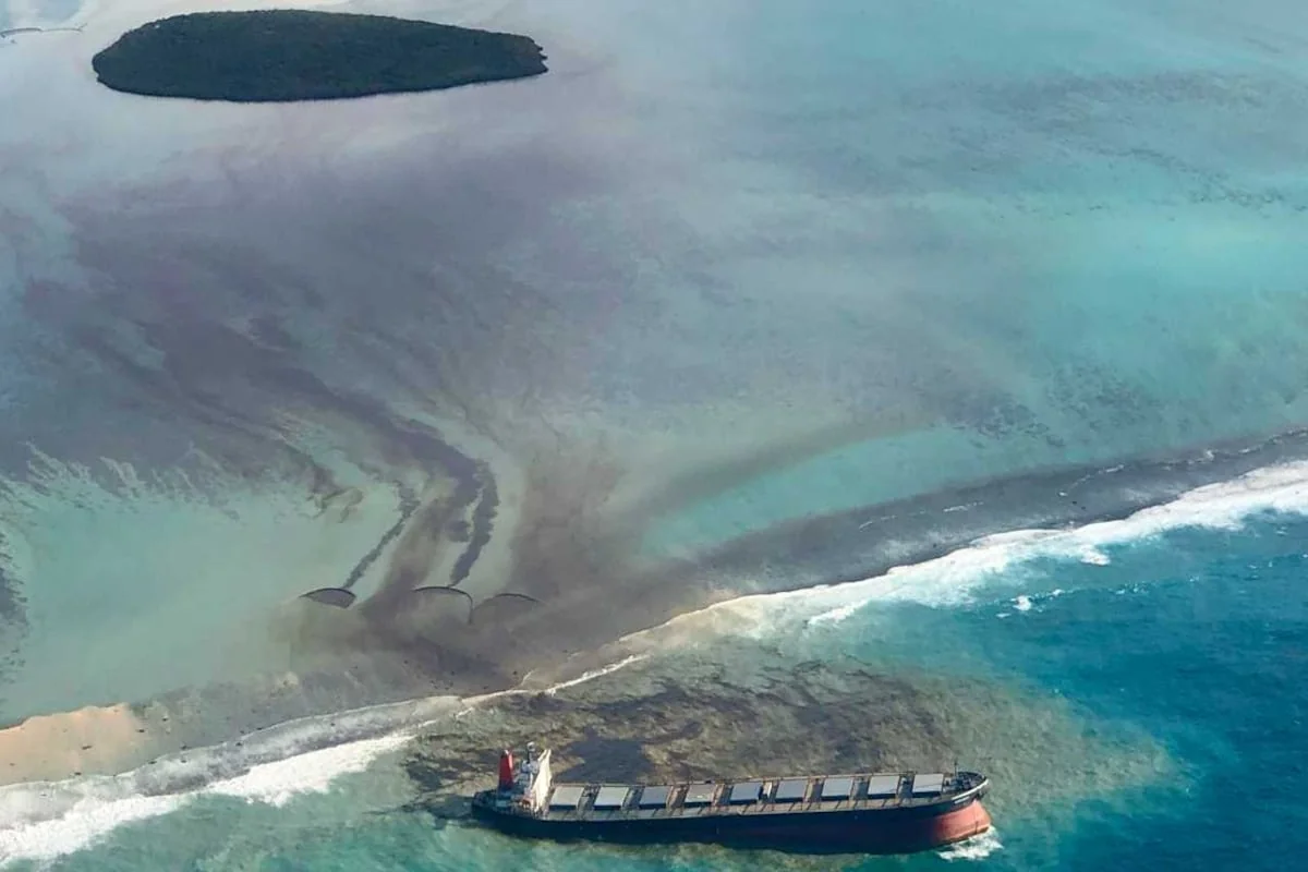 Oil spill in Mauritius kills rare animals