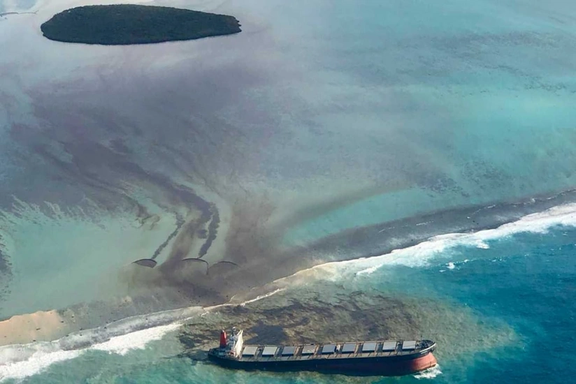 Oil spill in Mauritius kills rare animals