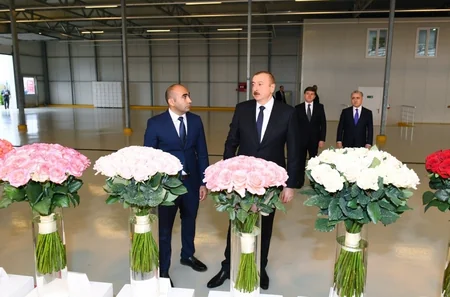 Prezident Qəbələdə gülçülük istixanası ilə tanış olub - YENİLƏNİB