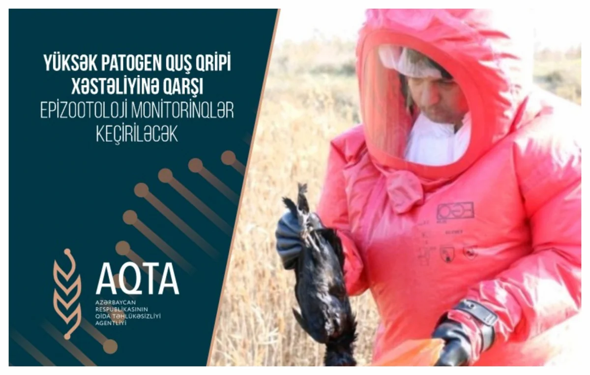 Yüksək patogen quş qripi xəstəliyinə qarşı monitorinqlər keçiriləcək