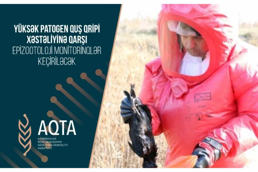 Yüksək patogen quş qripi xəstəliyinə qarşı monitorinqlər keçiriləcək