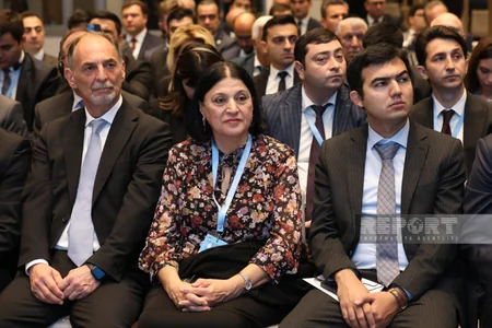 Bakıda itkin düşmüş şəxslərlə bağlı beynəlxalq konfrans keçirilir - YENİLƏNİB