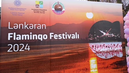 Flamingo Festival celebrates biodiversity in Azerbaijan's Gyzylagach National Park