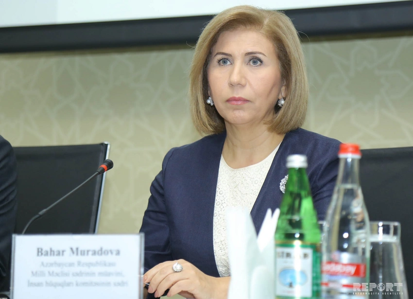 Milli Məclisin vitse-spikeri: Gündəlik rastlaşdığımız hüquq pozuntuları bizi narahat edir