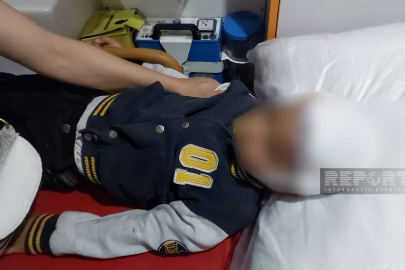 Masazırda azyaşlı uşaqlar itlərin hücumuna məruz qalıblar, vəziyyətləri ağırdır
