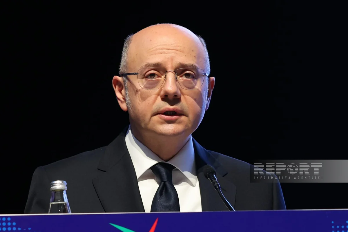 Shahbazov: Unilateral approach to energy transition can pose serious risks
