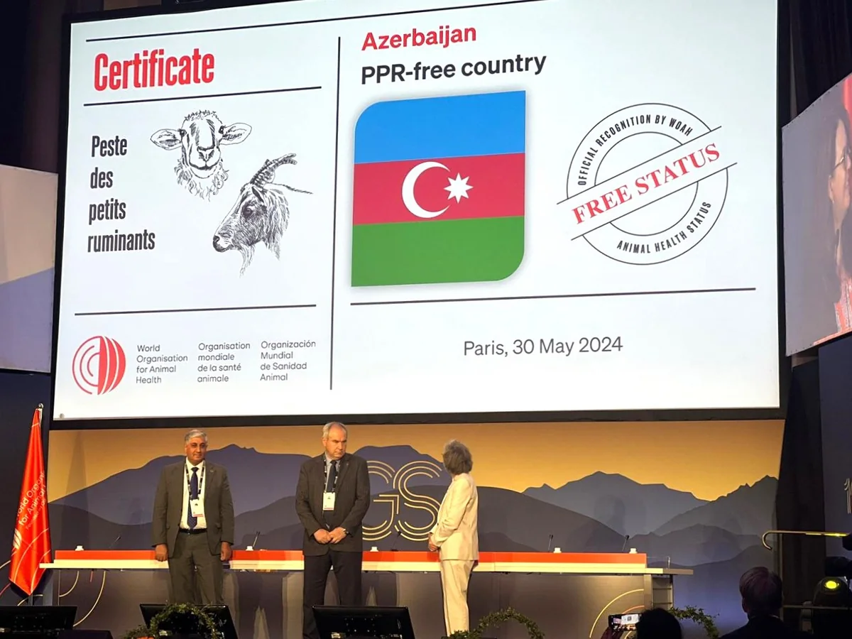 Azərbaycan Parisdə keçirilən beynəlxalq tədbirdə xüsusi sertifikata layiq görülüb