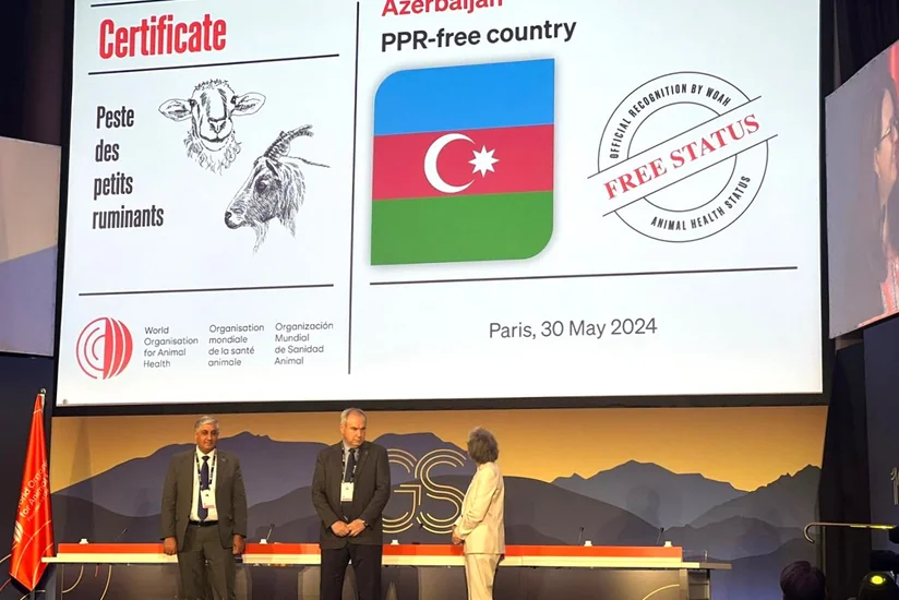 Azərbaycan Parisdə keçirilən beynəlxalq tədbirdə xüsusi sertifikata layiq görülüb