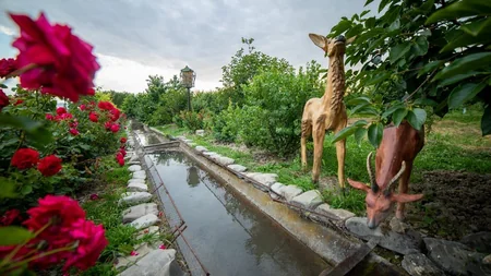 Şəkinin gələcək simasına çevrilə biləcək bağdan - REPORTAJ