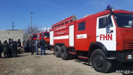 Tovuzda tövlə yanıb, mal-qara tələf olub - FOTO - VİDEO - YENİLƏNİB