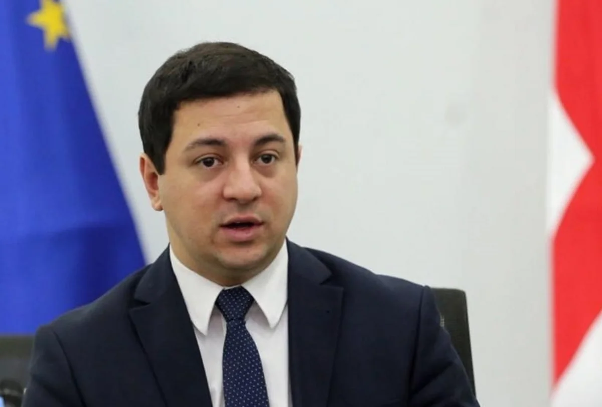 Замглавы МВД Грузии ушел в отставку