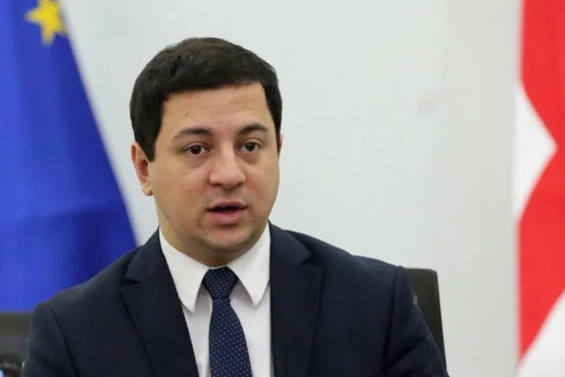 Замглавы МВД Грузии ушел в отставку