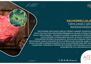 Salmonella təhlükəli qida infeksiyasıdır - MƏQALƏ