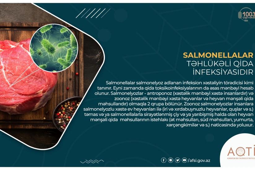 Salmonella təhlükəli qida infeksiyasıdır - MƏQALƏ