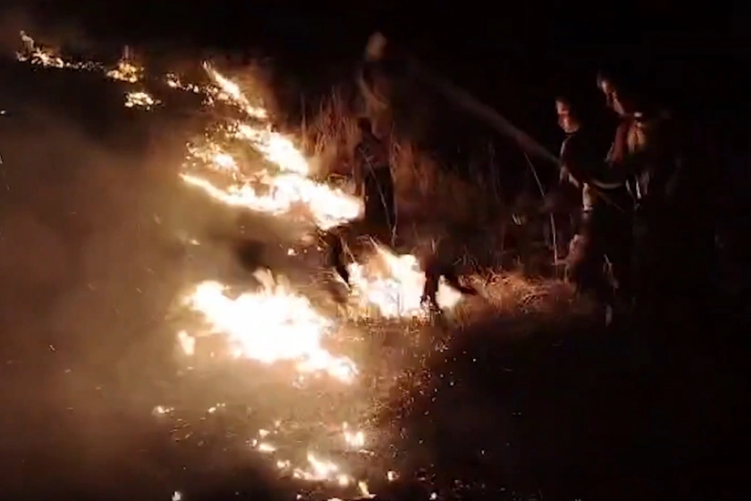 Qubadlıda yanğın baş verib, meşə zolağına keçməsinin qarşısı alınıb