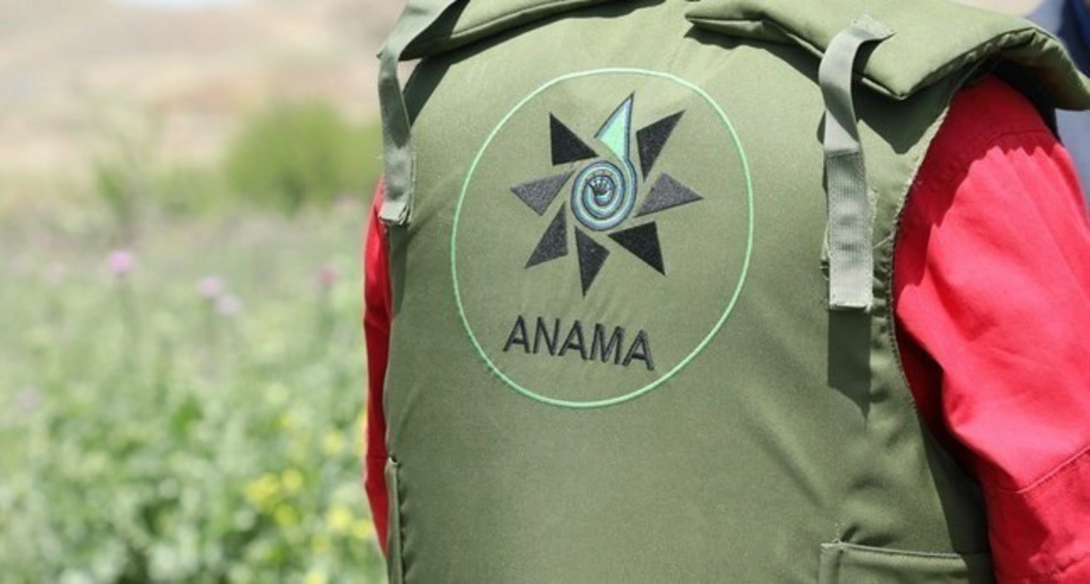 ANAMA sığortaçı seçib