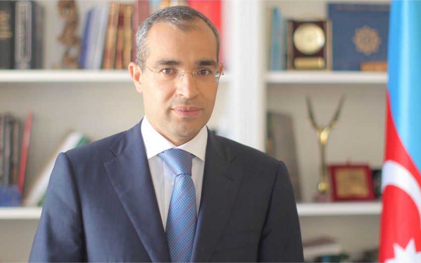 Mikayıl Cabbarov: Bir çox hallarda kafedralarda rəhbər vəzifəsi digər ali təhsil müəssisələrindəki həmkarlar tərəfindən tutulur