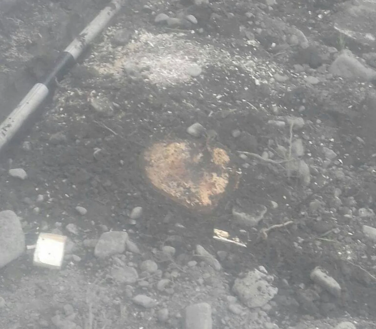 Qəbələdə istirahət mərkəzində 35 ağacın kəsilməsi ilə bağlı materiallar Baş Prokurorluğa göndərilib