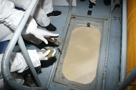 Azərbaycanda vəhşi heyvanların helikopterlə peyvəndlənməsi davam etdirilir