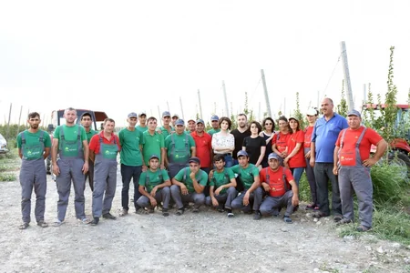 Dünyanın ən gözəl və üstün Qarabağ atları - REPORTAJ