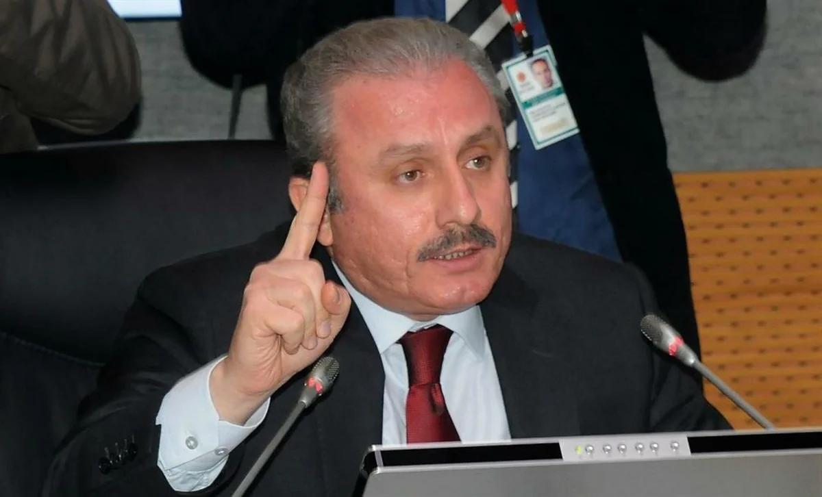 Turkey's Parliament Speaker: Armenia is a terrorist state