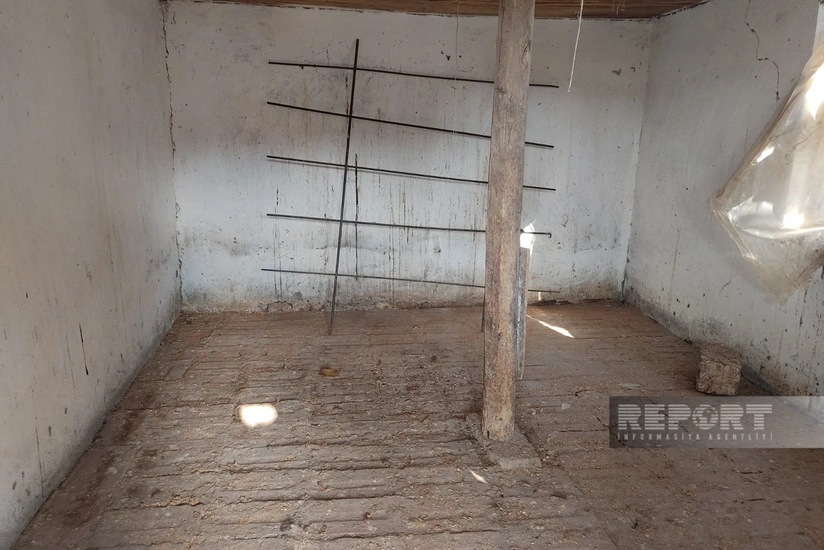 Oğuzda ev quşları kütləvi tələf olub