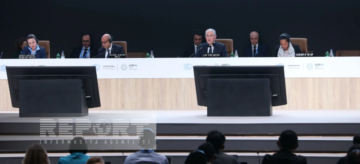 COP29 president says draft decisions and conclusions to be adopted at plenary sessions