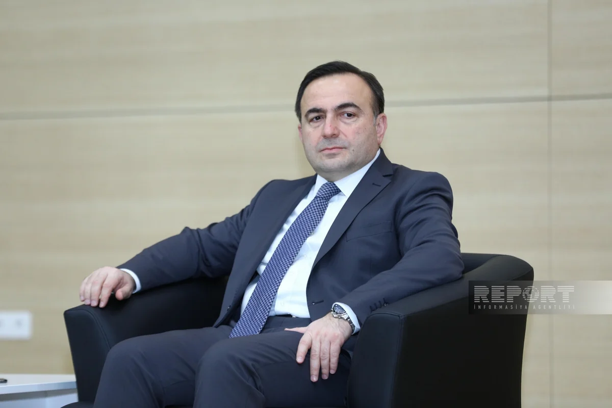 BP: Artificially accelerating energy transition can cause serious environmental damage