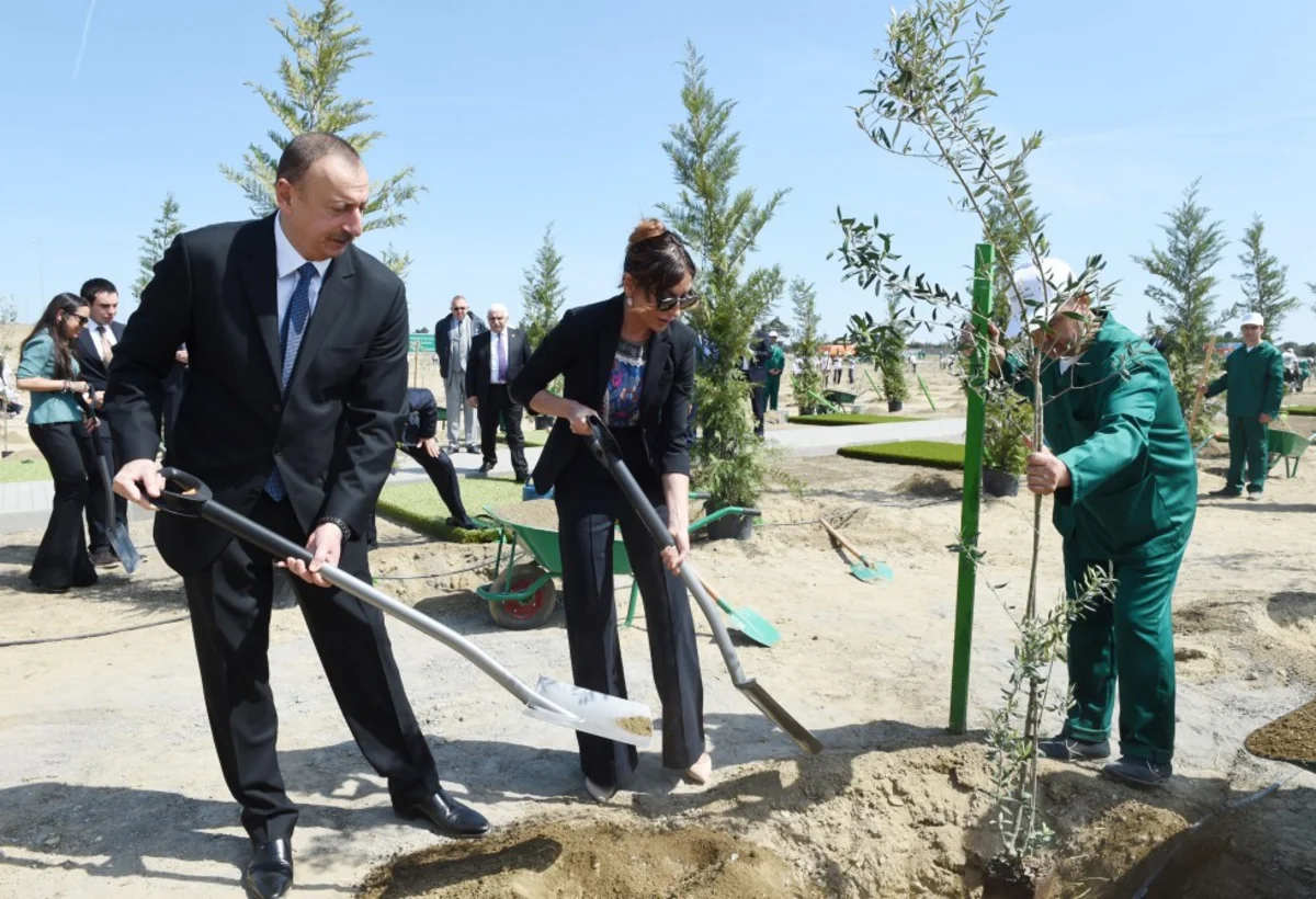 Президент Азербайджана принял участие в кампании по посадке деревьев, посвященной дню рождения общенационального лидера
