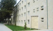 Arı sancan qadın bir ay komada qalıb