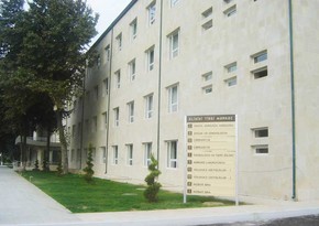 Arı sancan qadın bir ay komada qalıb