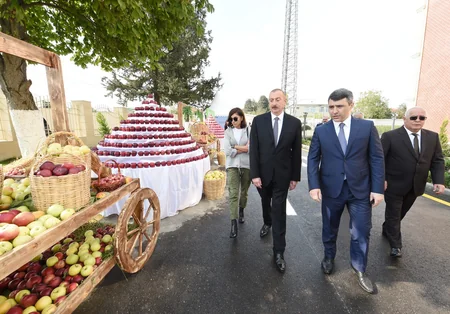 Prezident İlham Əliyev Qubada Meyvəçilik və Çayçılıq Elmi-Tədqiqat İnstitutunun tingçilik müəssisəsi ilə tanış olub - YENİLƏNİB