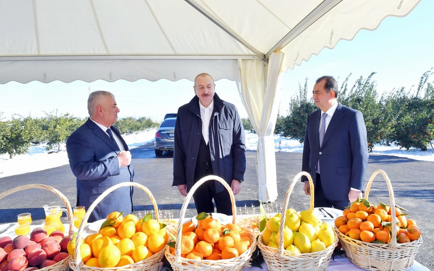 Prezident İlham Əliyev Lənkəran rayonuna gedib - YENİLƏNİB